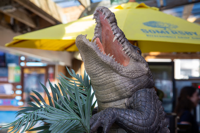 Growling Gator gallery image 58